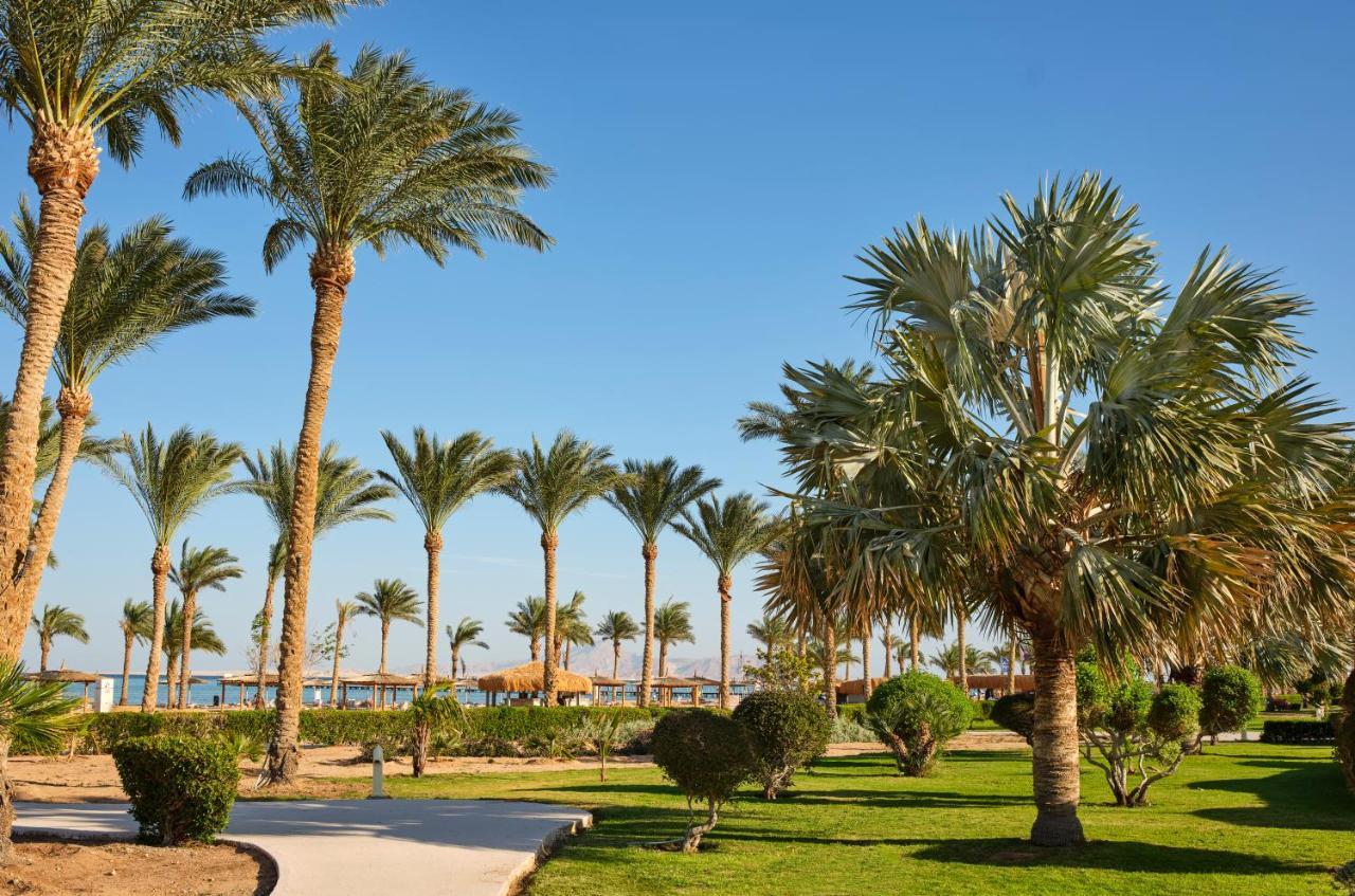 فندق كورال سى ووتر وورلد شرم الشيخ المظهر الخارجي الصورة